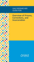 Overview_of_Prisons__Corrections__and_Incarceration