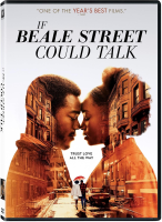 If_Beale_Street_could_talk