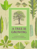 A_tree_is_growing