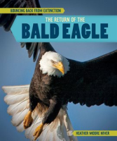 The_Return_of_the_Bald_Eagle