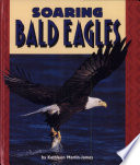 Soaring_bald_eagles