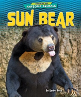 Sun_Bear