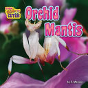 Orchid_mantis