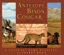 Antelope__bison__cougar