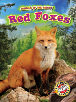 Red_Foxes